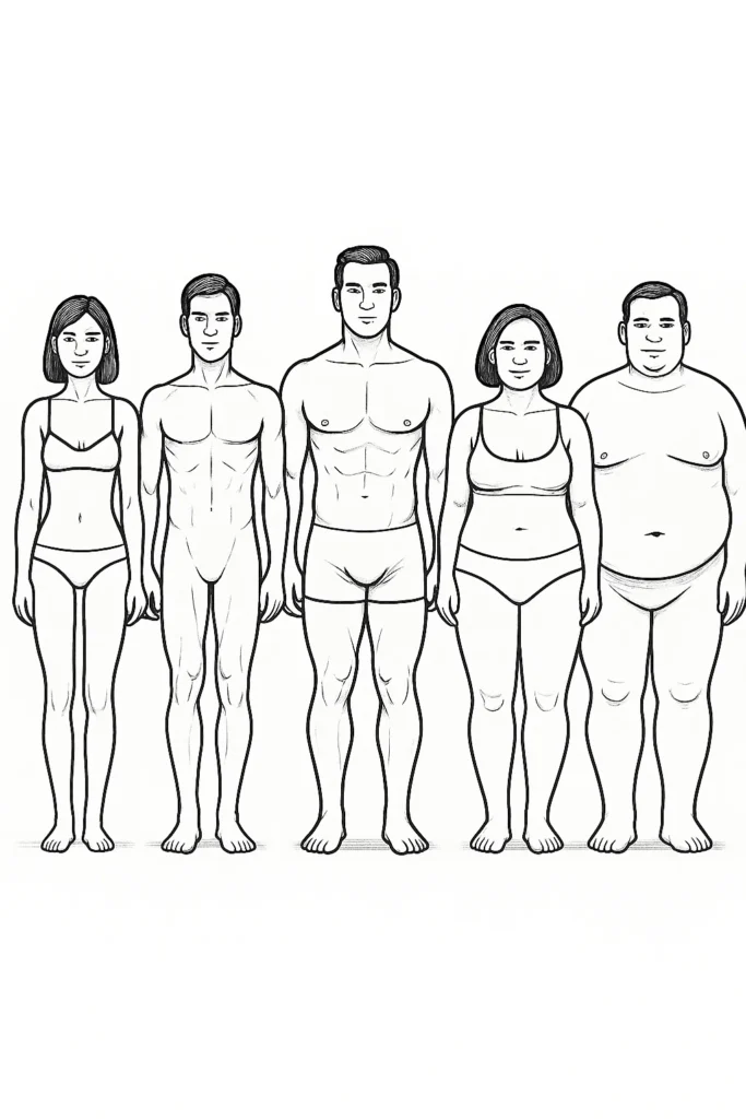 somatotype-body type